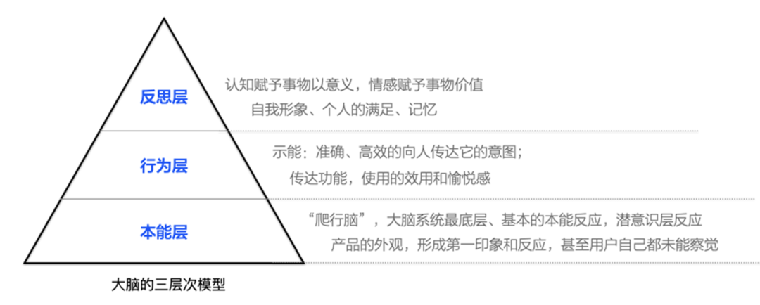 图5 大脑的三层次模型